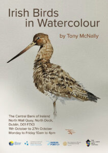 "Irish Birds in Watercolour” by Tony McNally.