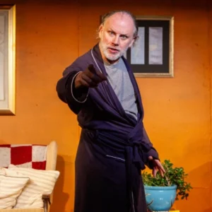 Actor Don Wycherley in a stage